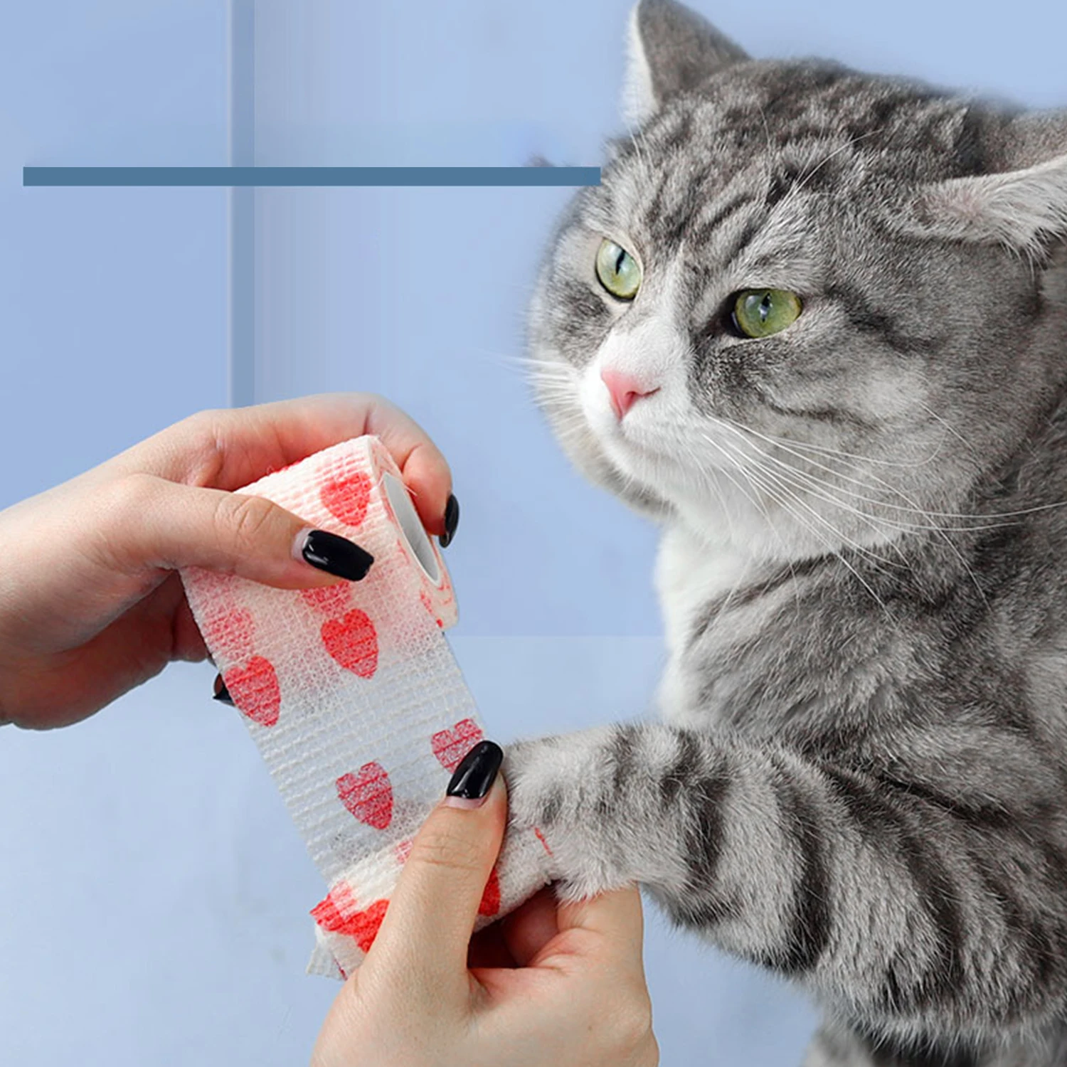 

Pet Dog Cat Medical Breathable Elastic Bandage Non-woven Pet Self Adherent Wound Outdoor Retractable Sports Tape Dog Accessories