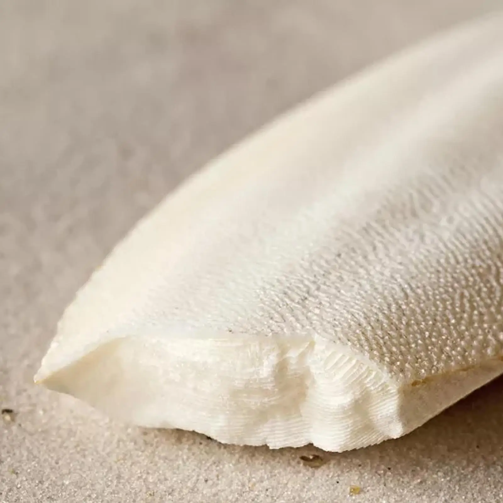 Искусственная косточка Для морской рыбы искусственная еда разборная поглощает