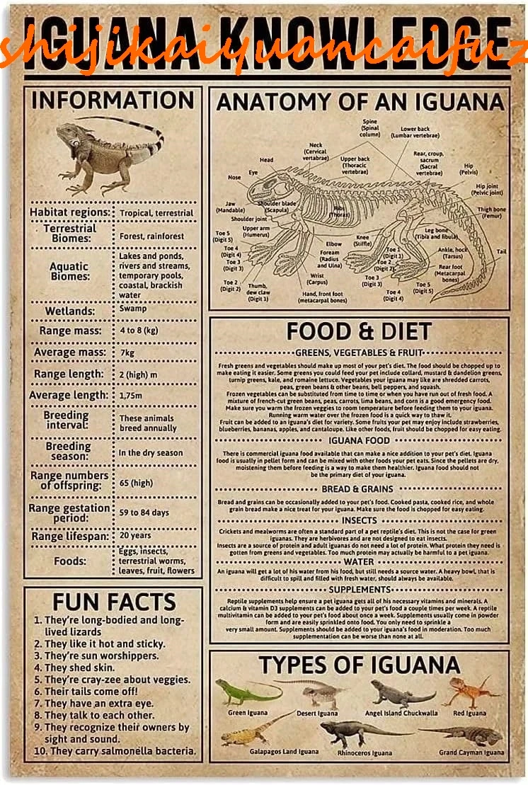 ESETASOT Игуана Знания Металлические жестяные знаки Плакат с животными Анатомия Iguany