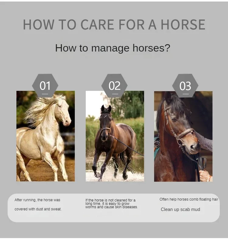 Рисунок 6 - Скребок для чистки конского лошади