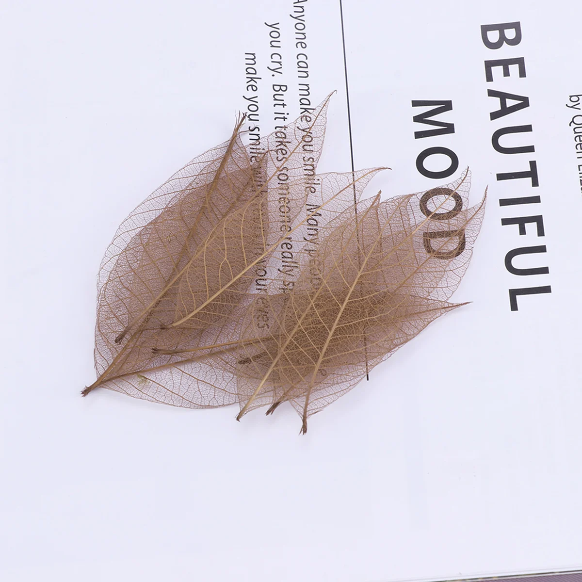 

Leavesdried Leaf Natural Rubberflowers Tree Flower Wall Artificial Specimen Diy Pressed Craftbookmark Crafts Paper Painting
