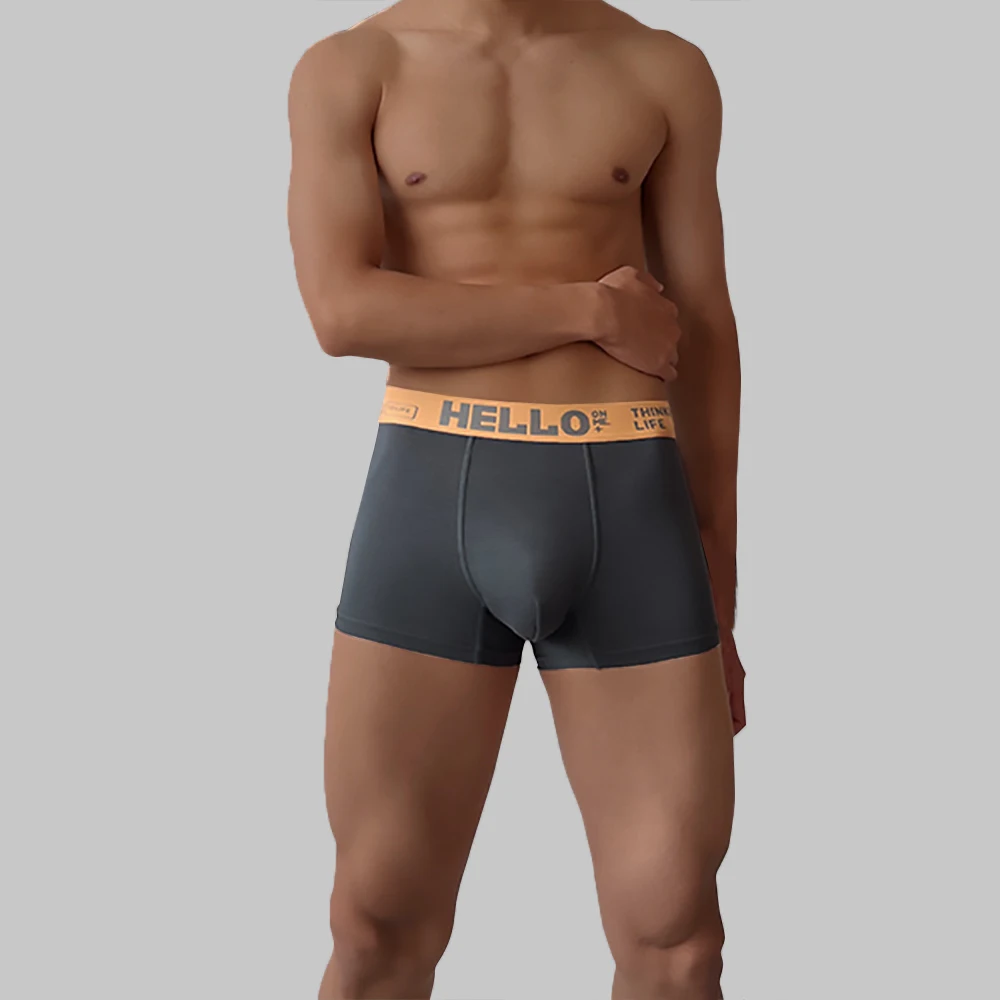 Men's Panties Underwear Boxer Shorts Comfortable Milk Silk Cotton Underpants Cuecas Calzoncillos Boxershorts Lot Plus Size L-5XL