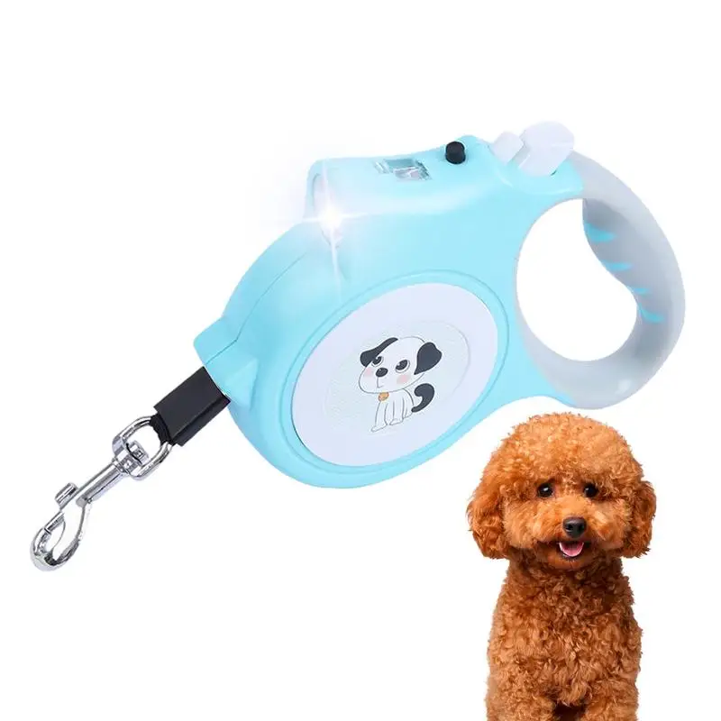 

Ночное время, собака, ночное освещение и экологичность для собак, семейная прогулка, путешествия, фестиваль, парады