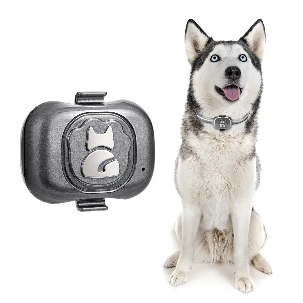 Pets Real-Time GPS Tracker IP67 Waterproof Smart Collar Anti-lost Real Time Tracking for Dog Cat Locator with Cat Dog Collars