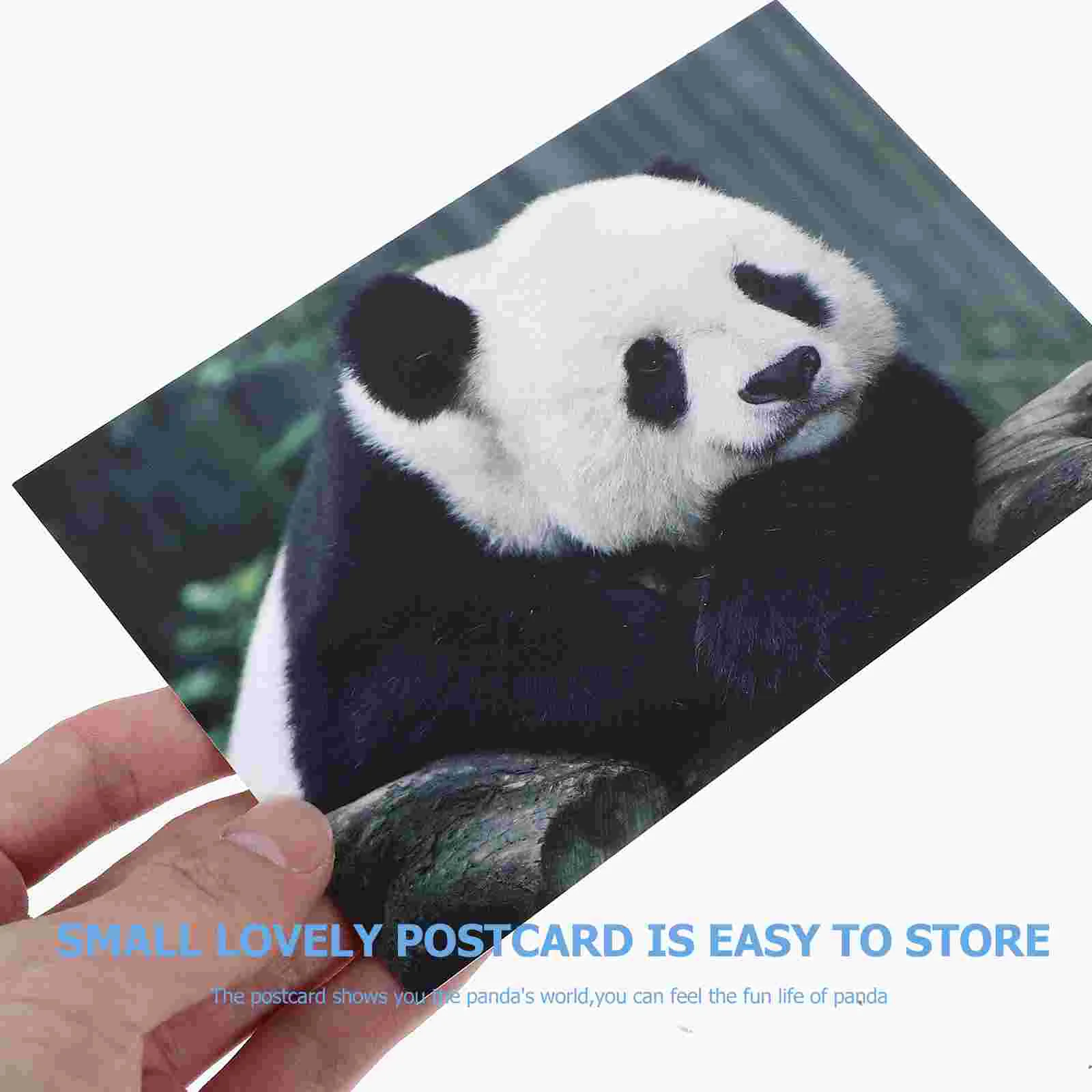 Рисунок 6 - восхитительные почтовые открытки