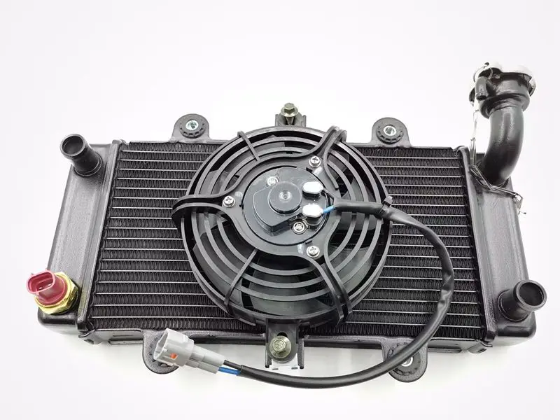 

Domestic sports car Horizon water tank 350CC 250CC large sports car motorcycle Horizon third-generation water tank