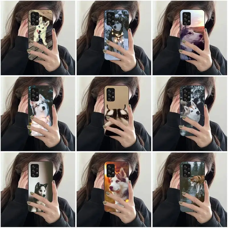 

Cute Alaska Phone Case For Samsung Galaxy A51 A50 A71 A21s A31 A41 A10 A20 A70 A30 A22 A02s A13 A53 5G Cover Coque