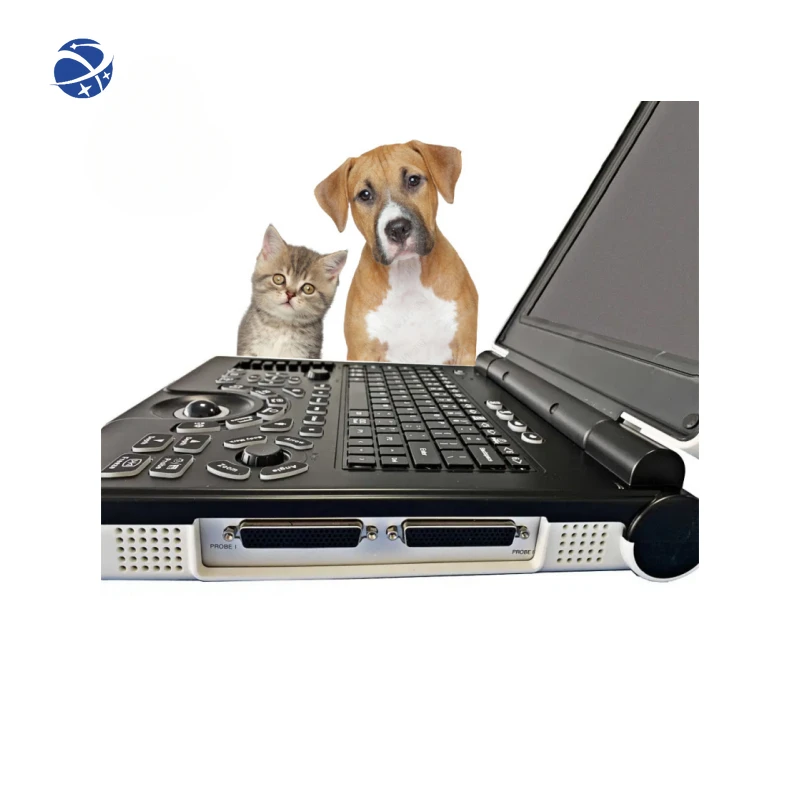 Ультразвуковой Портативный Цветной Допплер ультразвуковой аппарат по заводской