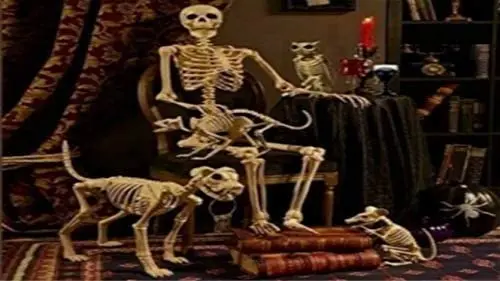 

Жестяной знак с креативным черепом на Хэллоуин, большой жестяной знак, алюминиевый металлический знак 12x16 дюймов