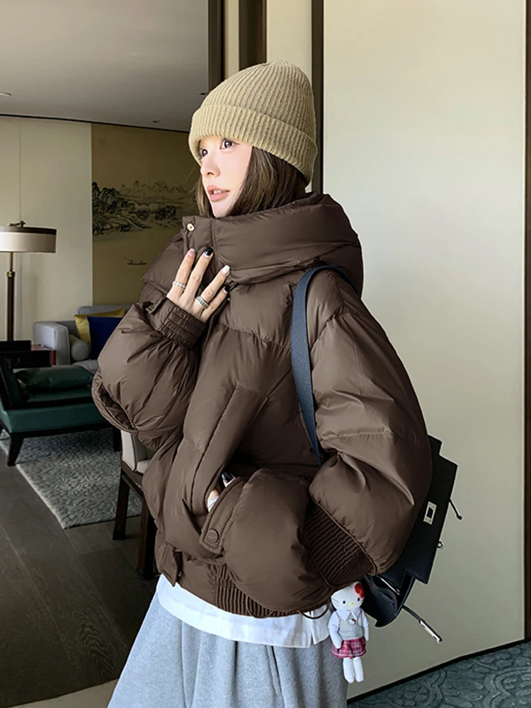 Maillard Short Down jacket Women's Winter 2024 New Small Fashion Western Sle down Coat Hoodie