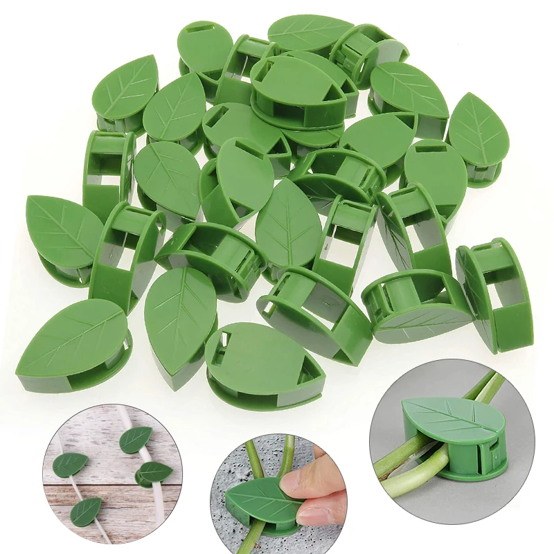 

50pcs Invisible Plant Climbing Wall Fixture Rattan Vine Bracket Fixed Buckle Leaf ClipsTraction Holder Garden опора для растений