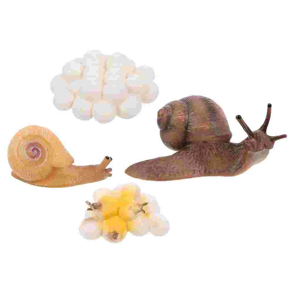 

Cycle Life Snail Model Animal Growth Toys Toy Insect Models Figurines Educational Kids Figures Figure Cognitive Science Figurine