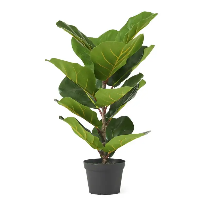 

2' x 1' Artificial Tabletop Fiddle-Leaf Fig Tree, Green Key chain Cool room decor Book decorations for home Office decor Cabocho