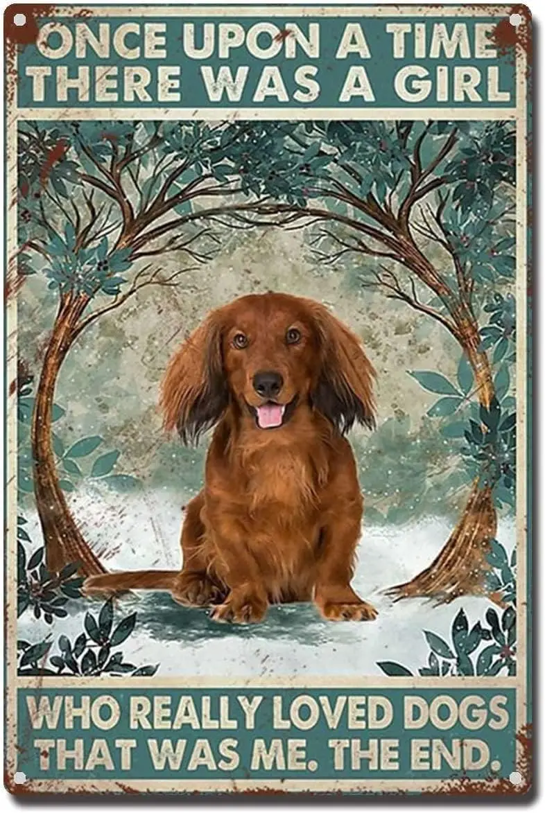 Оловянная вывеска в стиле ретро длинношерстящие таксы Одного разу была девушкой