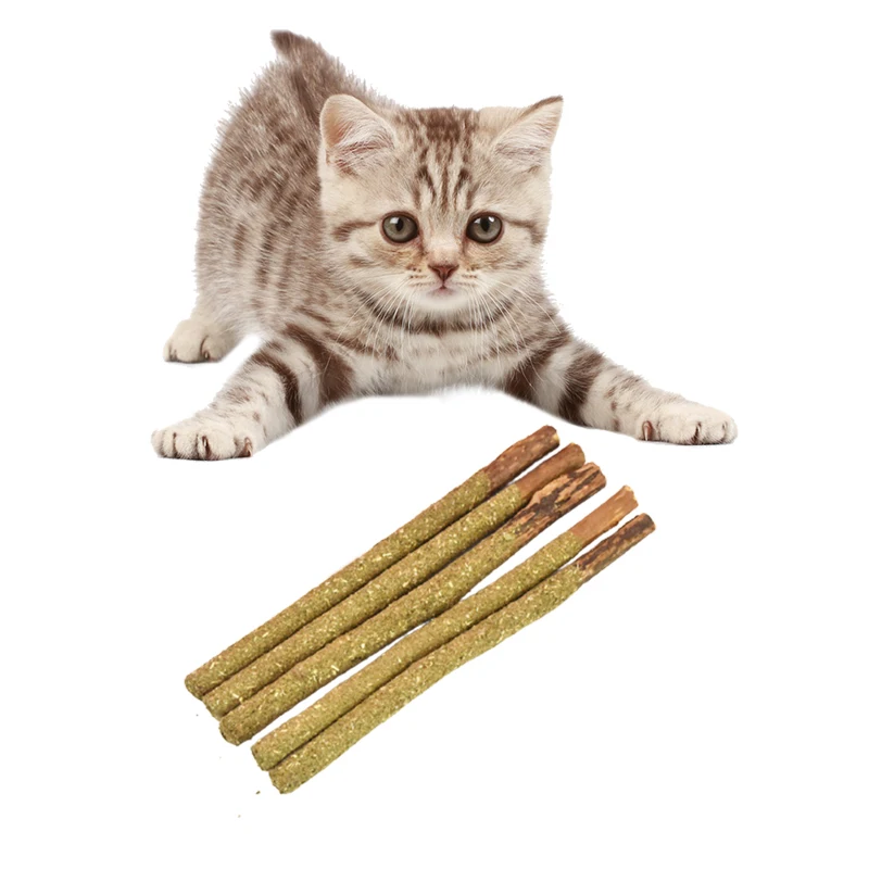 

Natural Catnip Pet Cat Molar Toothpaste Stick Pet Cleaning Teeth Cat Mint Stick Matatabi Fruit Silvervine Cat Snacks Sticks