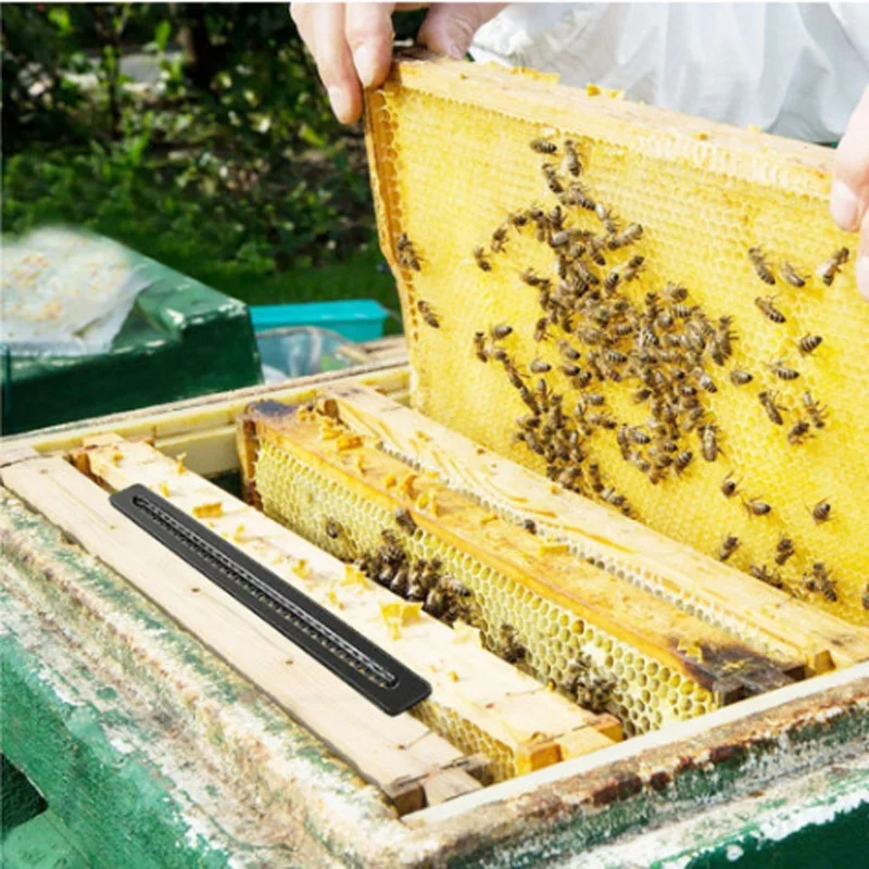 

10 шт., пластиковые ловушки для ульев