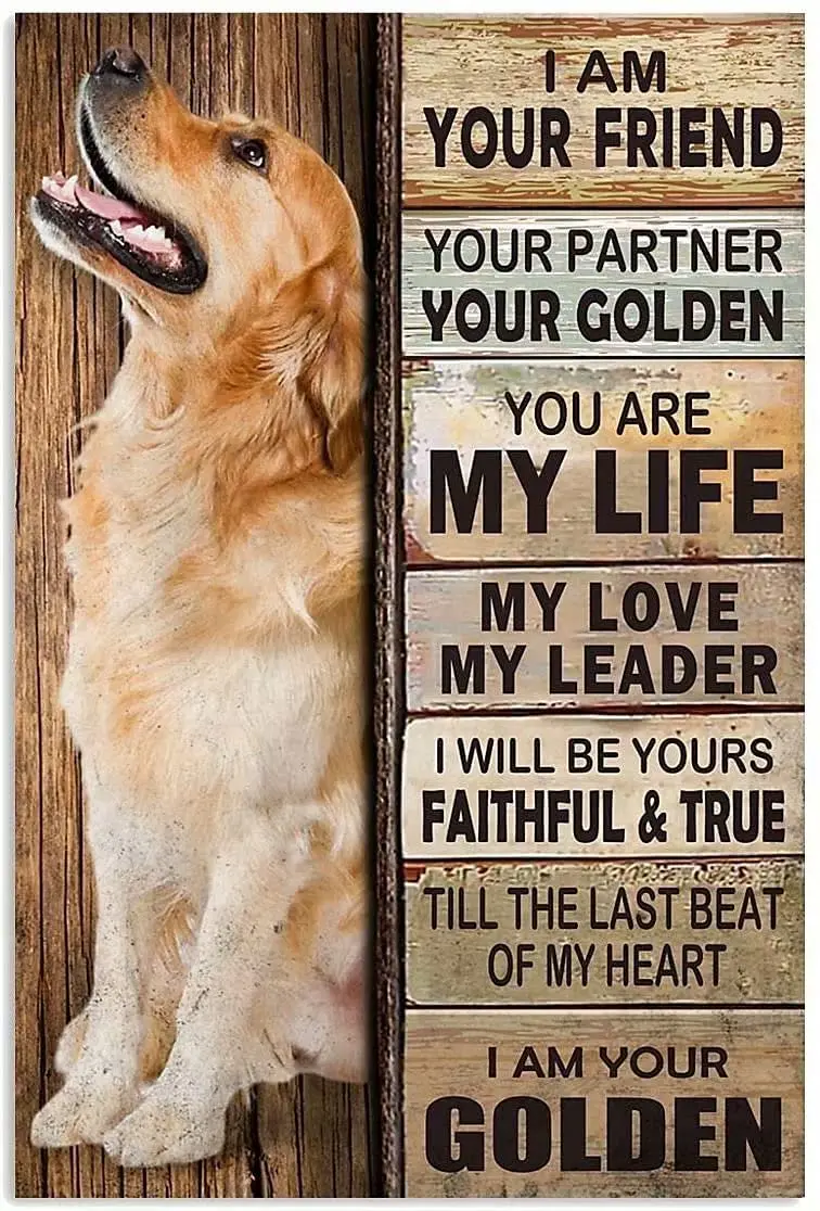 

Metal Tin Sign-Golden Retriever Weimaraner Is The Most Loyal Partner of Mankind Old-Fashioned Tin Sign Is Suitable for Home 8x12