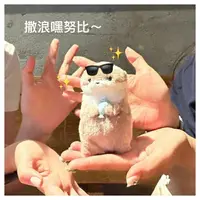 Плюшевые выдры #2