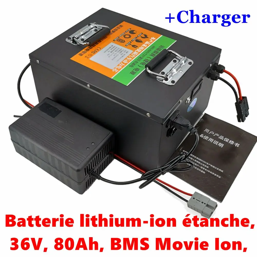 Batterie lithium-ion étanche 36V 80Ah BMS Movie Ion vélo scooter bateau tricycle EV Sicile chargeur 5A 2000W 1500