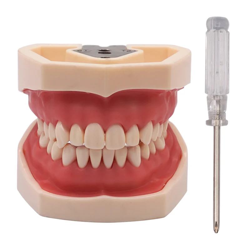 Зубная модель съемная тренировочная зубов зубной резинки и силиконовая маска
