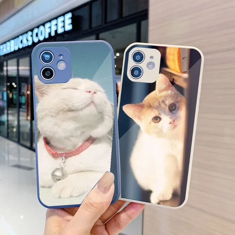 

Чехол для телефона с милым котом и котенком для IPhone 14 13 12 11 Pro Max X XR XS 8 7 Plus, цветной чехол для телефона из жидкого стекла