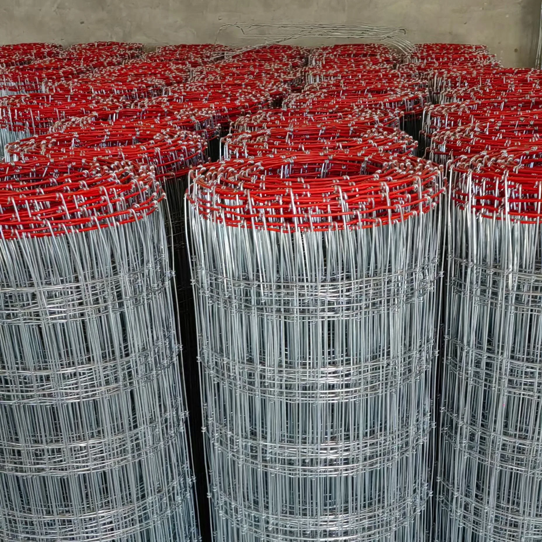 Животное коза олень забор для скота крупный рогатый скот лошадь овца луг полевой