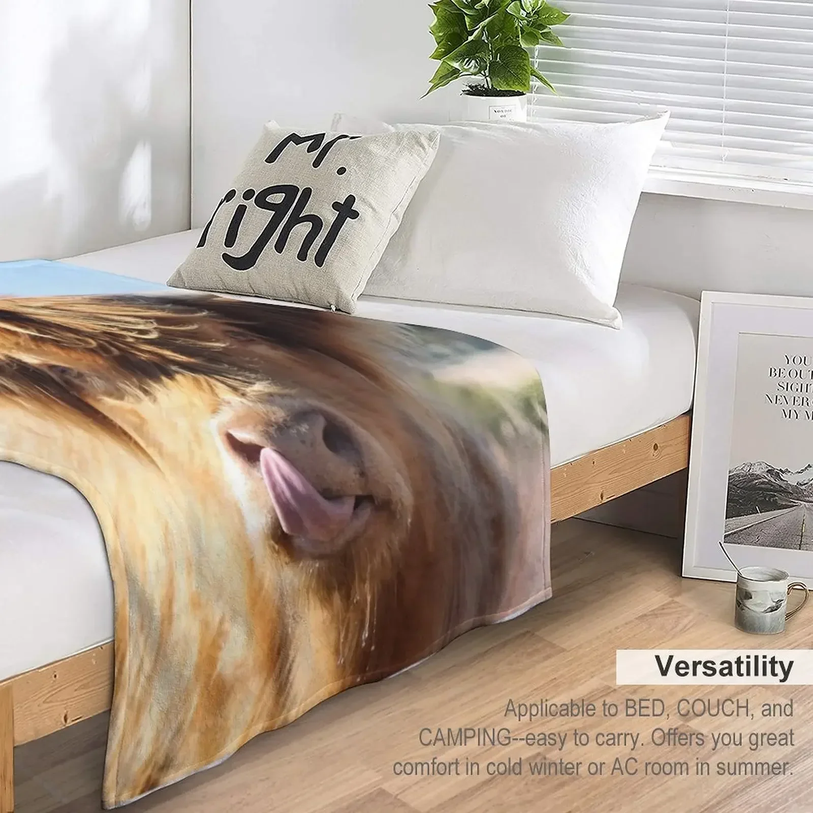 Откидное одеяло цвета Бургундия модные диваны кровать плюшевые пушистые одеяла