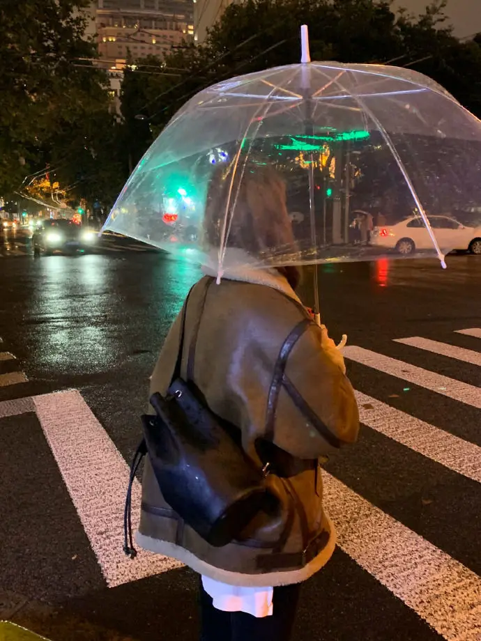 Women Faux Leather Fur Coats Sheep Leather Shearling Thicken Jacket Lady Fashion Long Sleeve Zipped Outerwear Winter Warm Coat