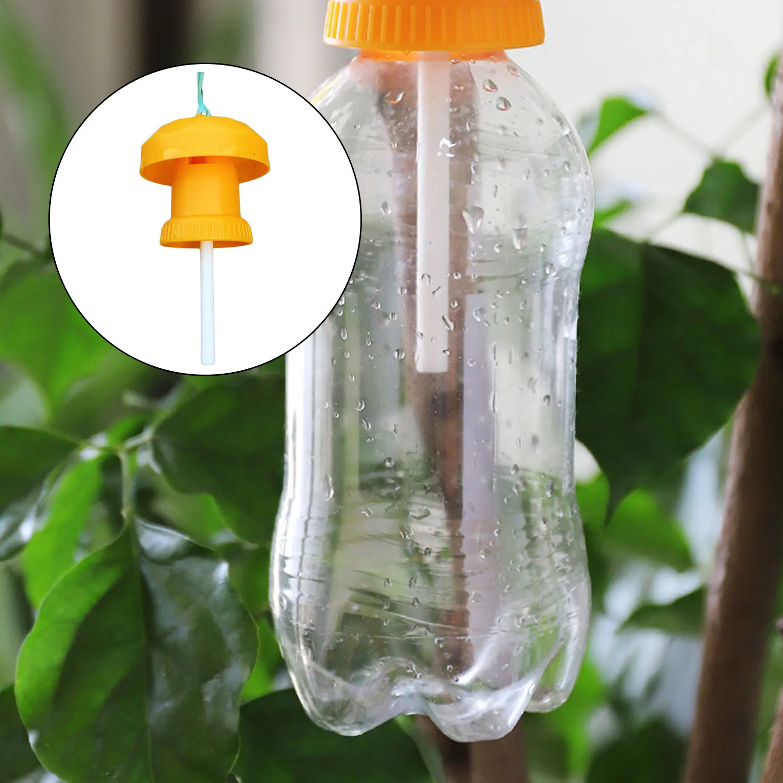 

Newly Outdoor Bug Catcher Fly Trap Outdoor Effective Fly Trapping Lid for Garden Plants Fruits Use