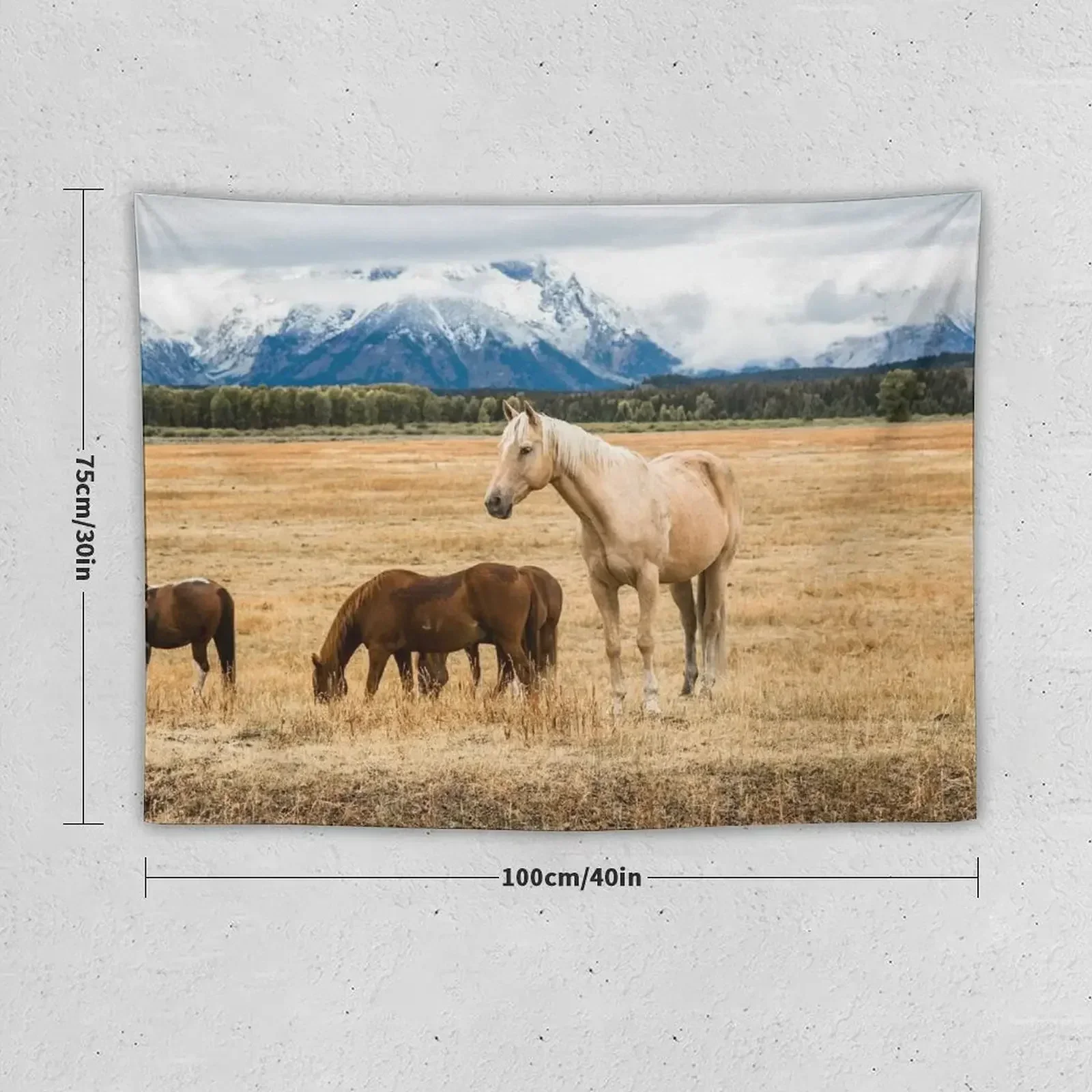 Горная лошадь - Лошадь Паломино на осень в национальном парке Гранд Тетона