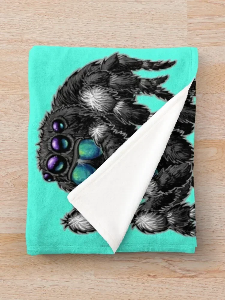 Дерзкий прыгающий паук Phidippus Audax бросковое одеяло средняя Тяжелая фотография