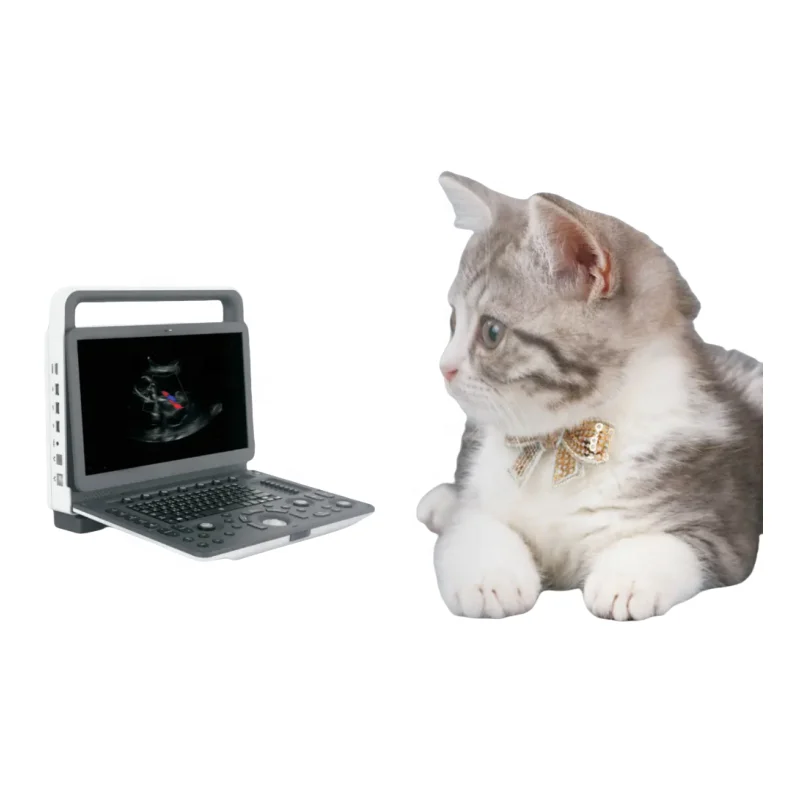 YSB-M30 VET Портативный (ультразвуковой ультразвук с фокусировкой высокой