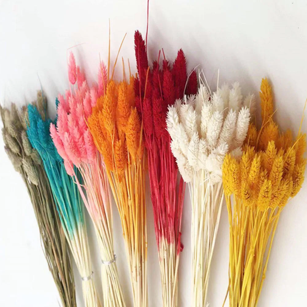 

Natural Dried Flowers Gem Jewelry Grass Desktop Home Living Room Decoration Bouquet Diy Boho Decor Photography Props Dry Flowers