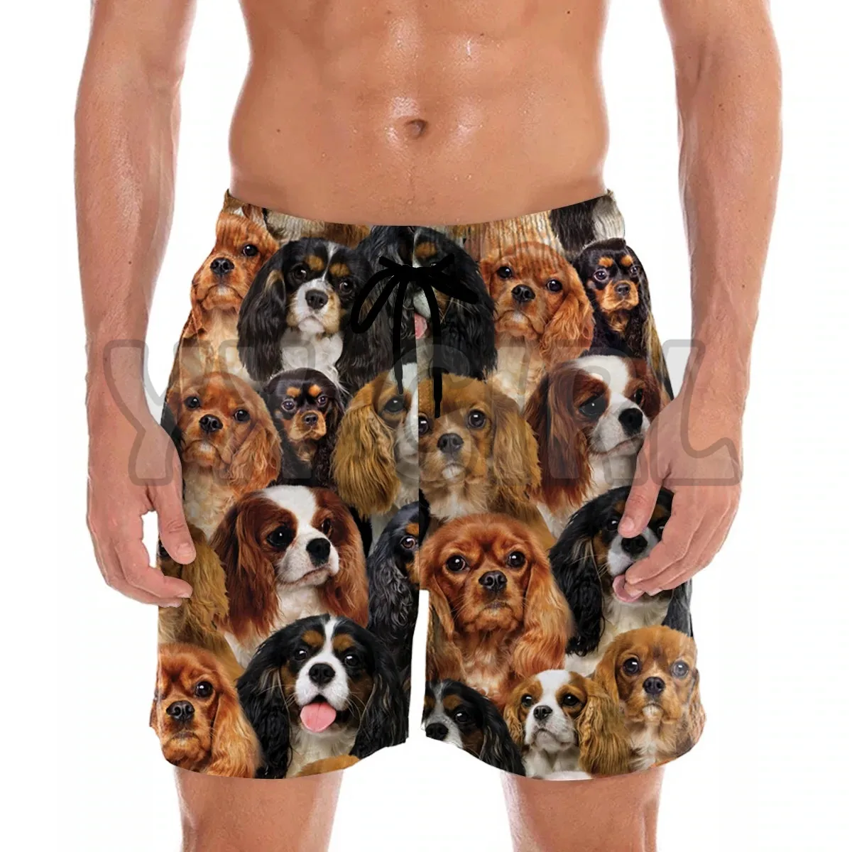 You get a lot of Cavalier King Charles Spaniels Shorts 3D All Over Printed  Shorts Quick Drying Beach Shorts  Beach Swim Trunks