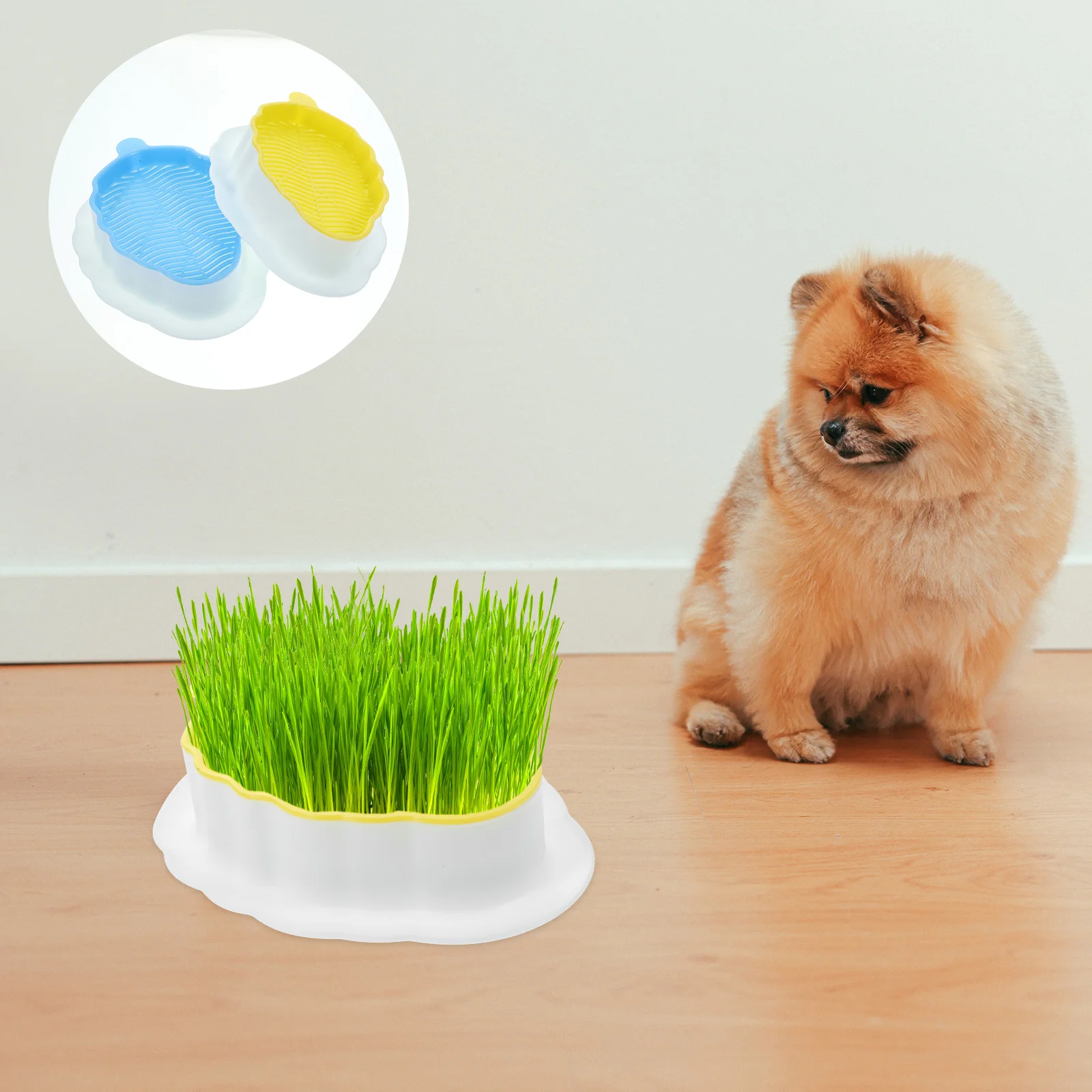 

Catnip Planter Practical Grass Hydroponic Soilless Pot Pet Household Convenient Creative