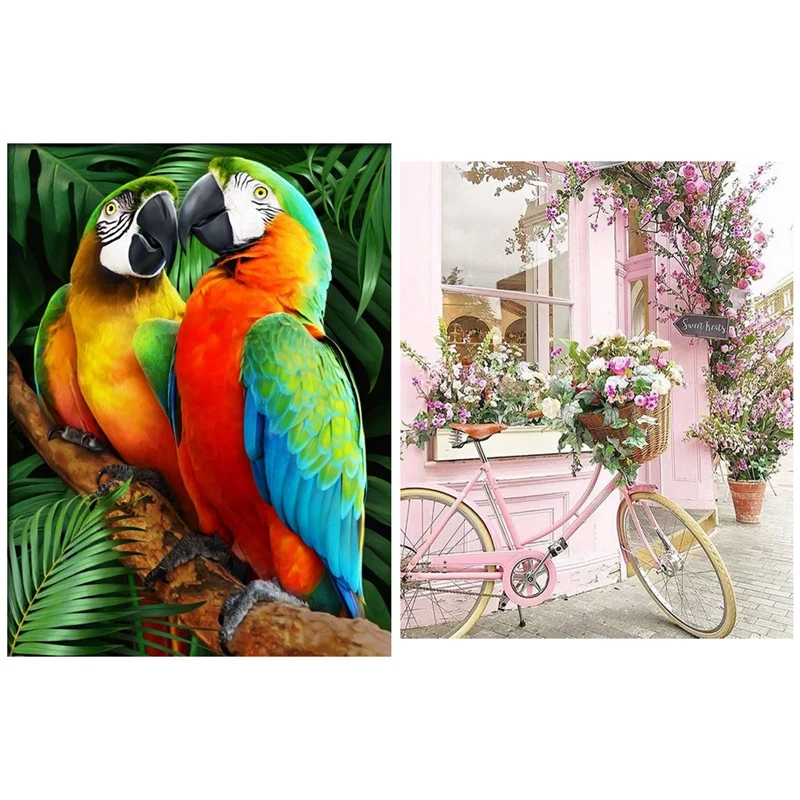 

Алмазная живопись 5D 2 комплекта, вышивка крестиком, украшение для дома, цветок и попугай на велосипеде
