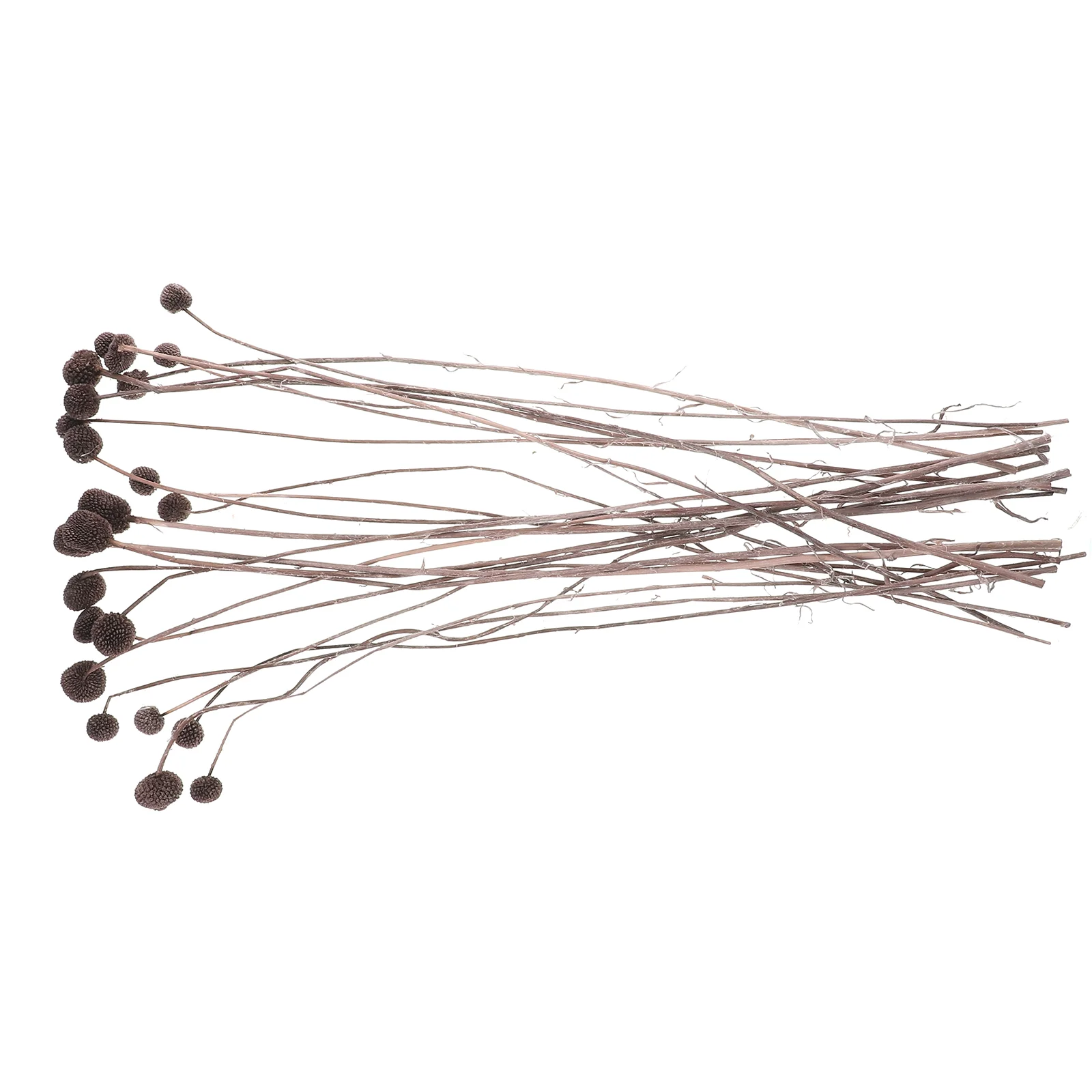 

20 Pcs DIY Dried Flowers Material Wedding Decor Craspedia Home Party Real Vase Grace Natural