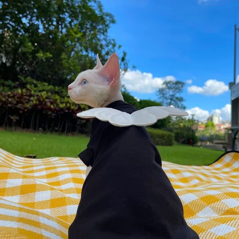 Сфинкс безволосовая Одежда для кошек Жилет ЧЕРНЫЕ милые крылья ангела