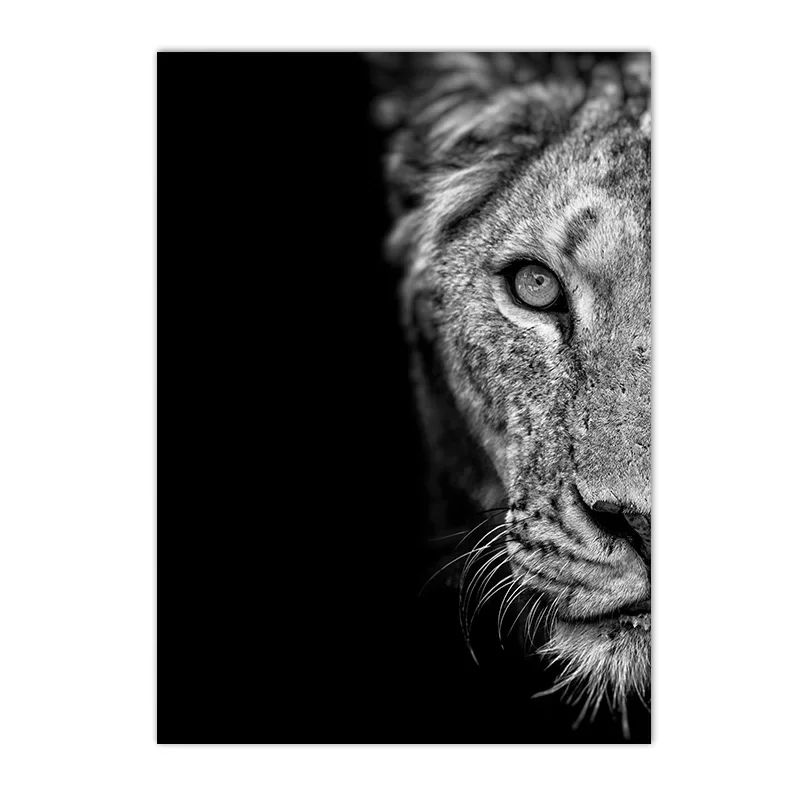 Черно-белые полотна с львом и львицей ARDOR