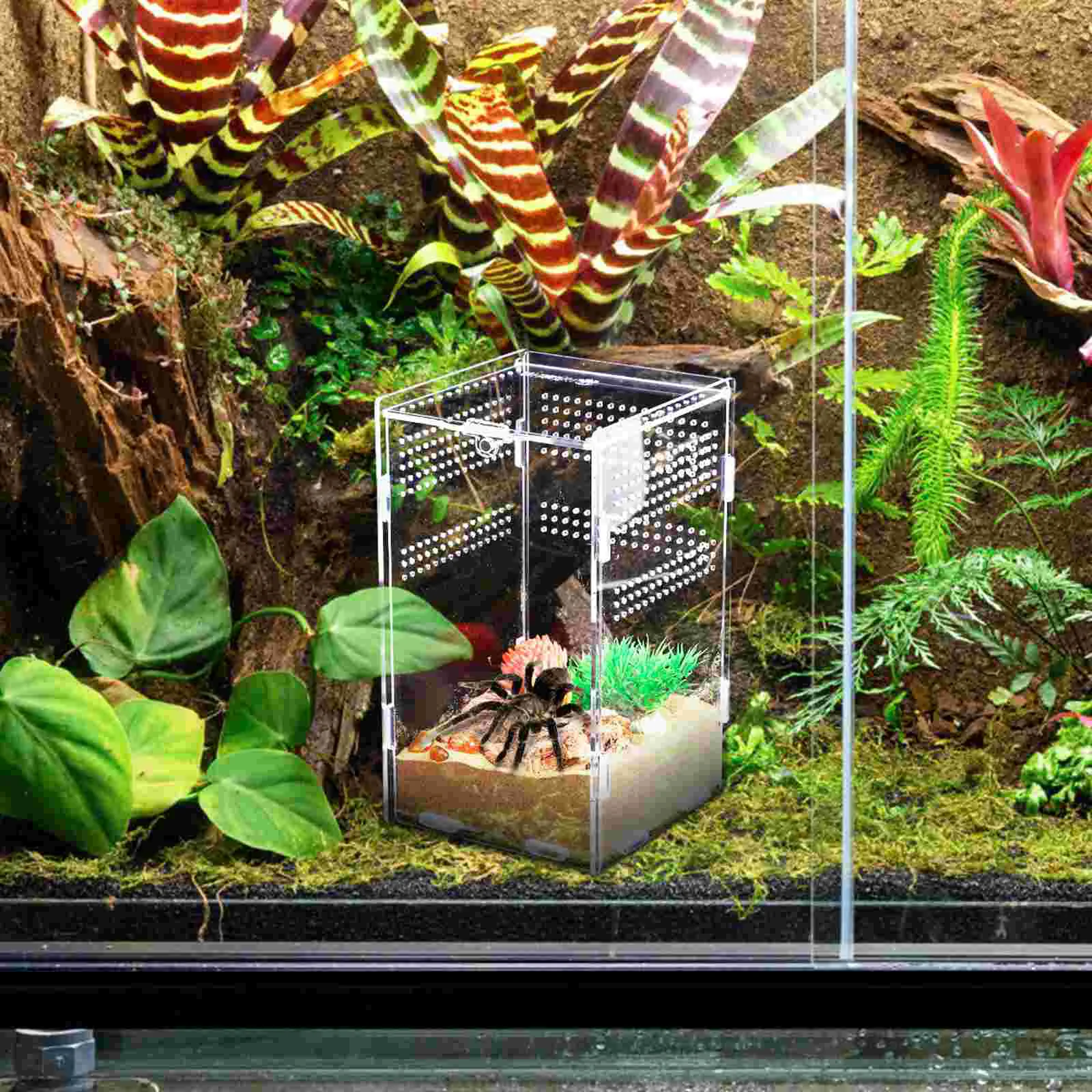Ящик для кормления терариум рептилий вертикальный паук прозрачные контейнеры