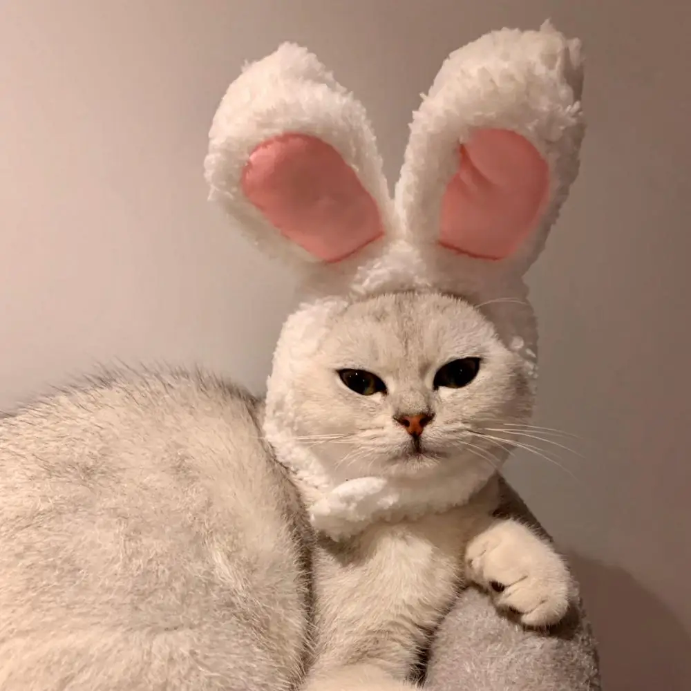 

Головной убор для домашних животных, милая кошачья шляпа, кролик, собачка, фотореквизит, смешные аксессуары для косплея