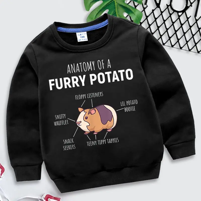 

guinea pig Kids Girls Boys Sweatshirts summer long sleeves Children Cotton Tops Fashion Sport cartoon animals Children Hoodies