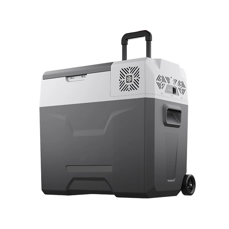 Портативный автомобильный холодильник Alpicool 50L мини-холодильник для дома 12 В/24 В 220