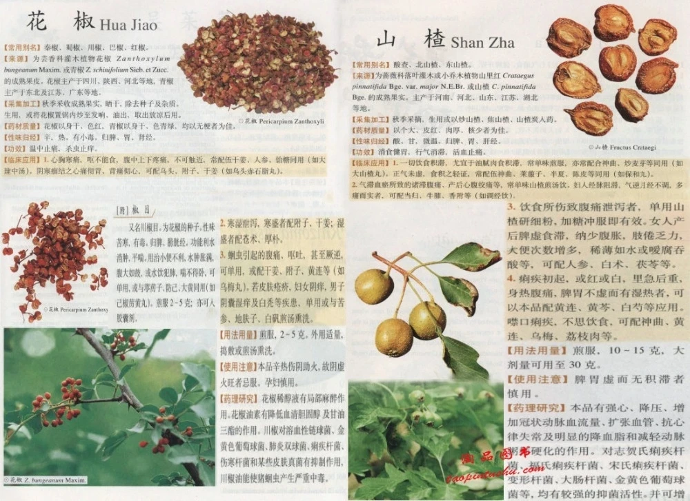 Ceny Chińsko-angielska Kliniczna Chińska Medycyna Książka Pharmaukopei/dwujęzyczny Chiński Atlas Materiałów Farmaceutycznych Kup Chińsko-angielska Kliniczna Chińska Medycyna Książka Pharmaukopei/dwujęzyczny Chiński Atlas Materiałów Farmaceutycznych