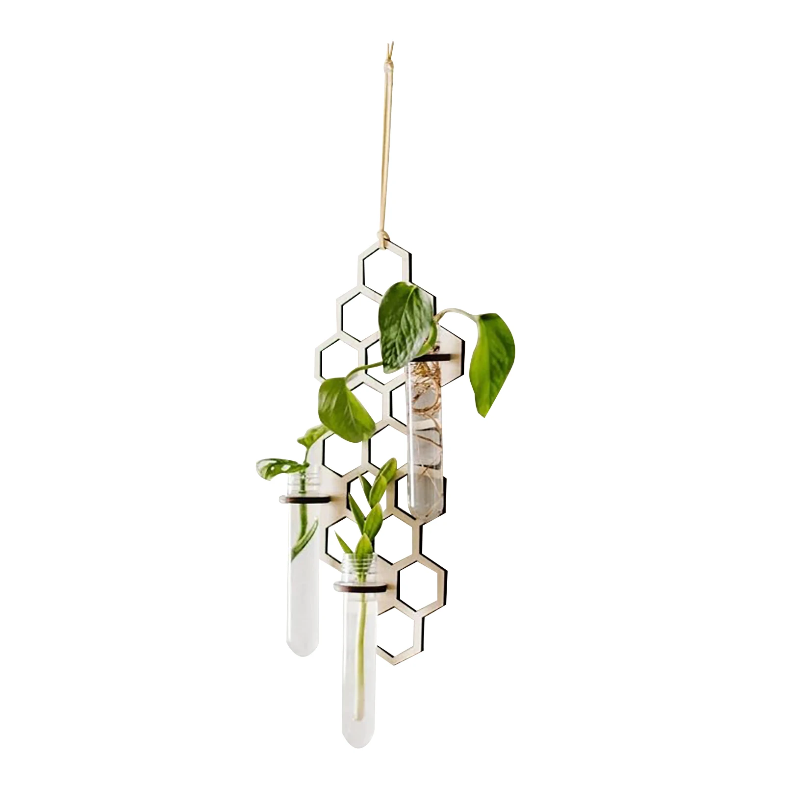 

Wall Hangings Planter Plant Propagation Stations Plant TerrariumGlass Planter Test Tube Vase For Propagating Hydroponic Plants