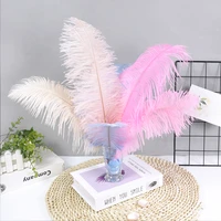 10pcslot natural colored ostrich feathers crafts 20 25cm35 40cm wedding party decor table centerpieces handicraft accessories