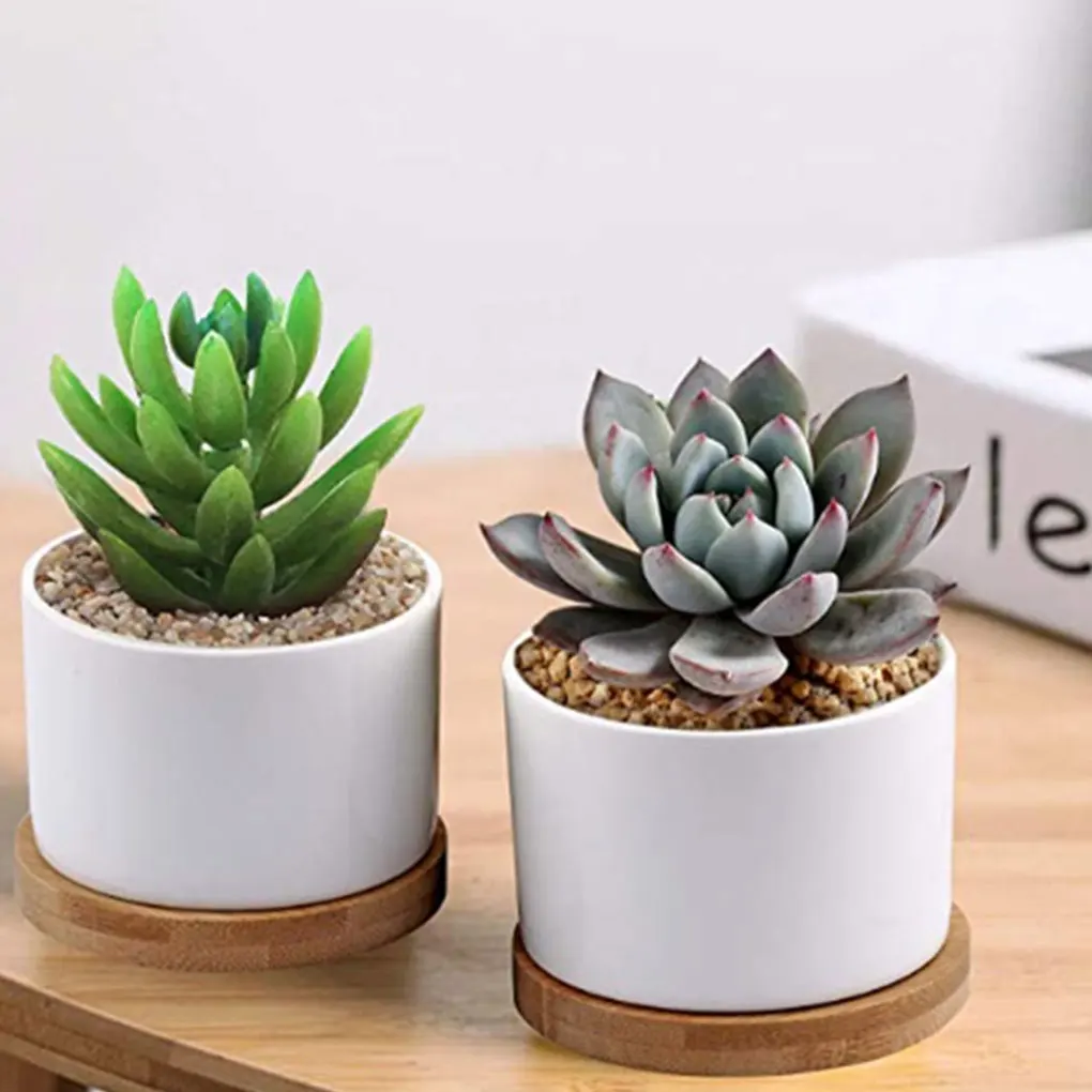 

3piece Eco-friendly Flowerpot Drainage System For Plant Lovers Succulent Plant Planter Pot