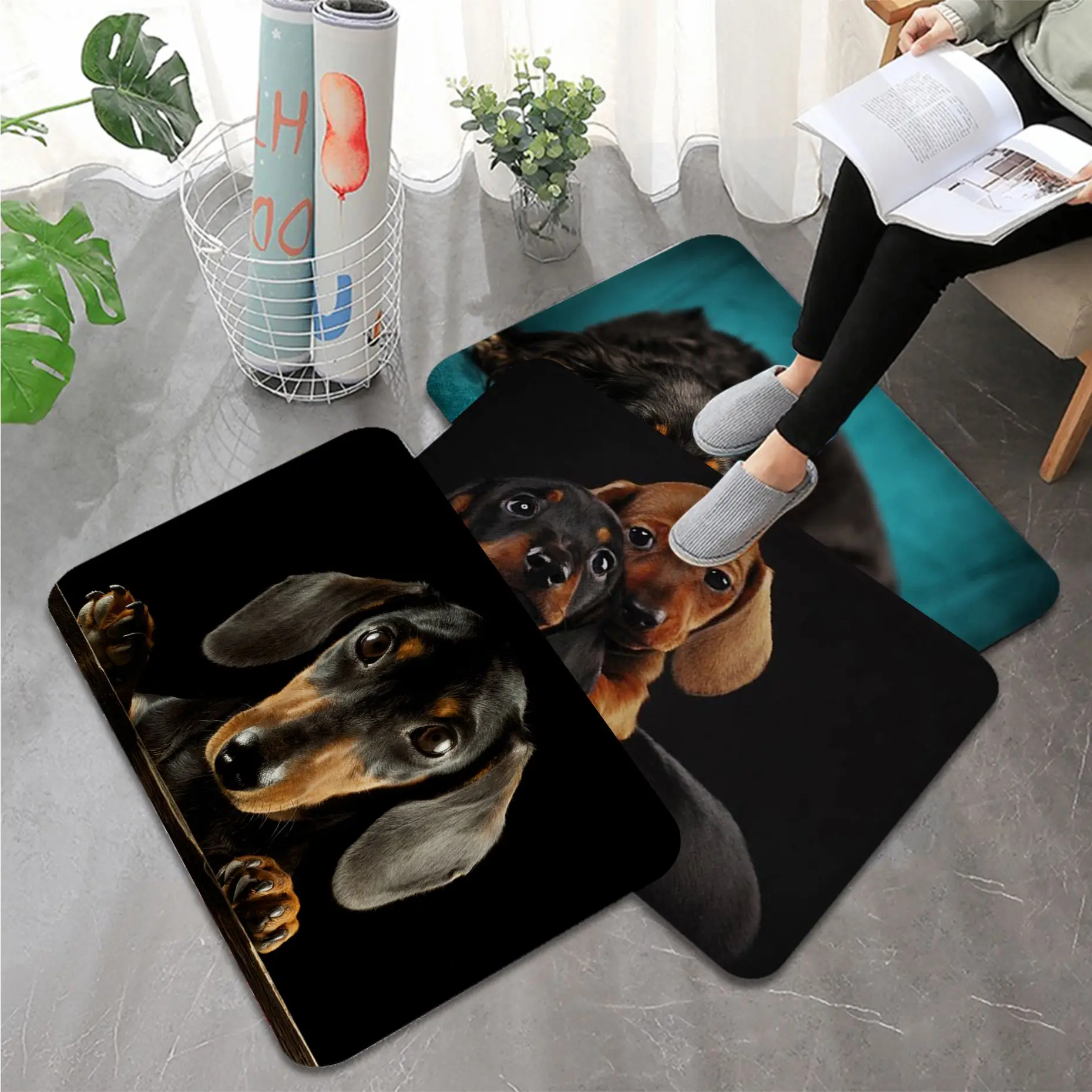 

Dachshund Dog Bathroom Mat INS Style Soft Bedroom Floor House Laundry Room Mat Anti-skid Modern Home Decor