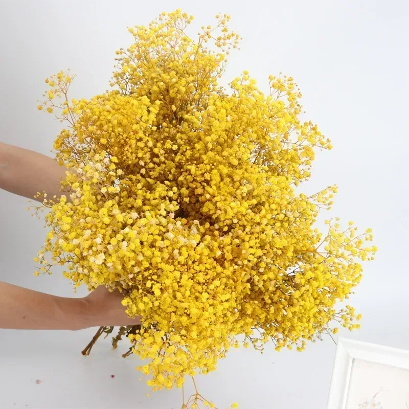 

Букет сухоцветов гипсофилы YN HI FLOWER ENJOY YOUR LIFE
