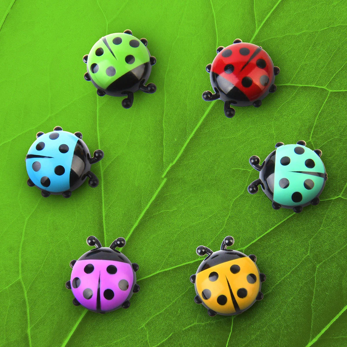 

6 Pcs Fridge Stickers Wall Sculpture Skz Stickers Desktop Stickers Magnet Sticker Multi-fonction Sticker Ladybug